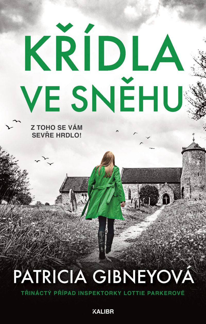 Křídla ve sněhu