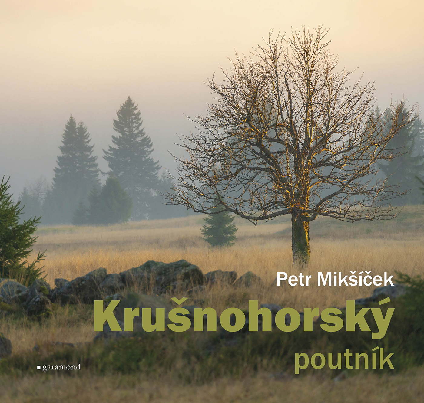 Krušnohorský poutník