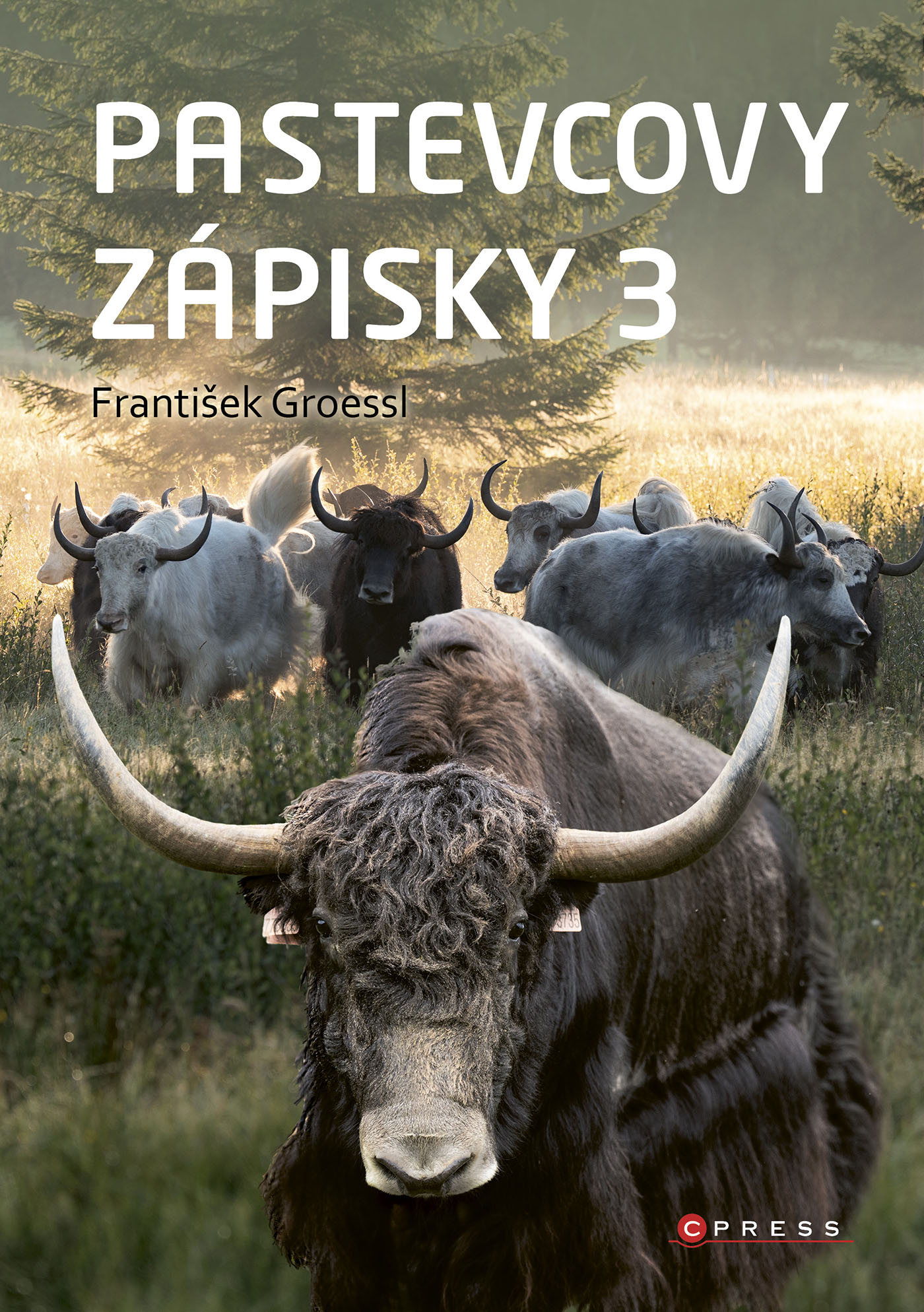 Pastevcovy zápisky 3