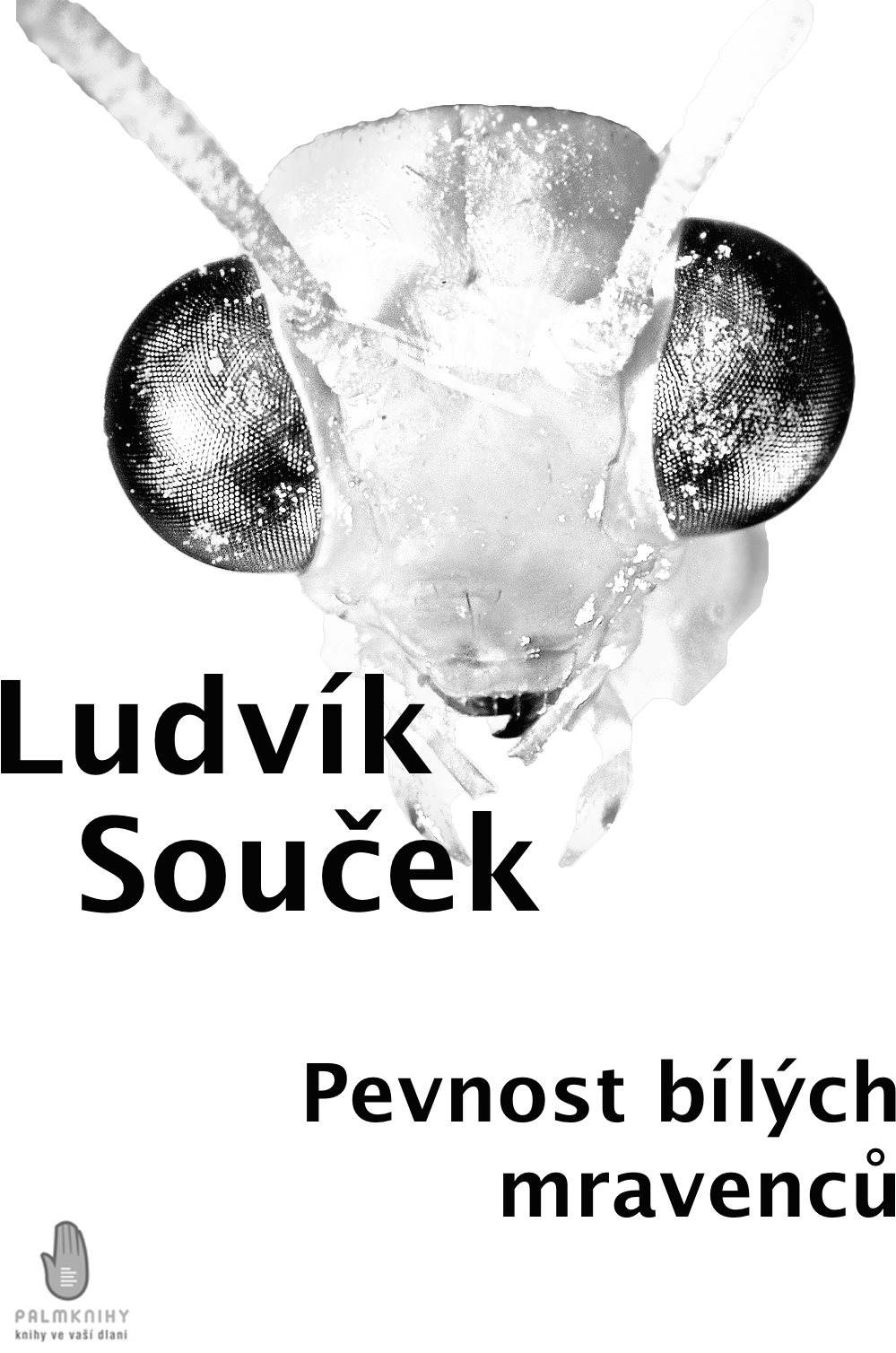 Pevnost bílých mravenců