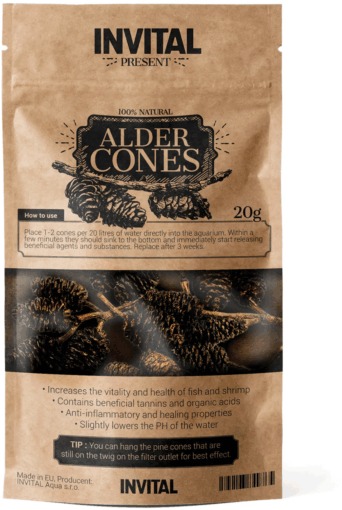 INVITAL AlderCones 20 g