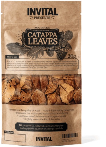 INVITAL CatappaLeaves 20 g