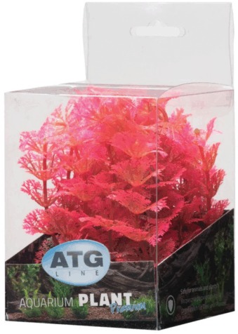 ATG Premium rastlina Mini 8-14 cm ružová