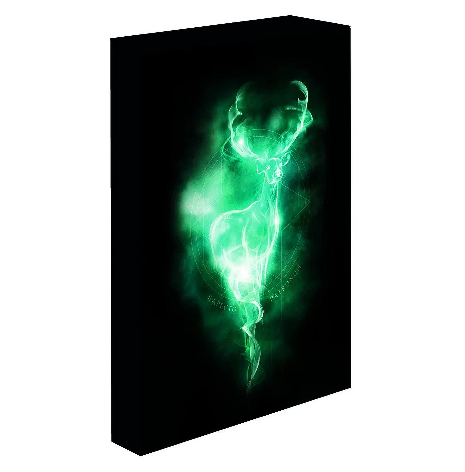 Harry Potter – Patrón, 30 × 40 cm – LED svietiaci obraz