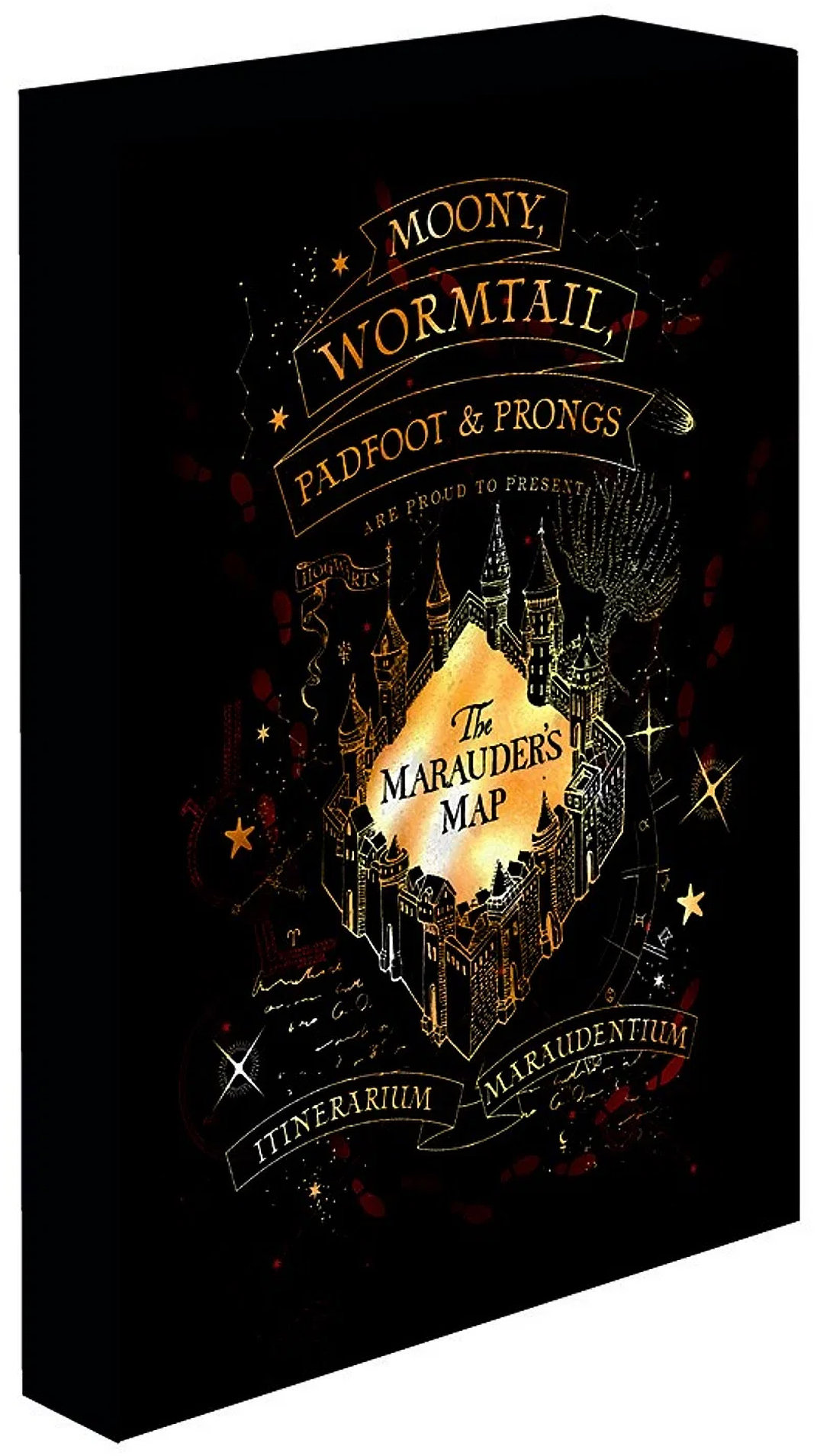 Harry Potter – Záškodnícky plánik, 30 × 40 cm – LED svietiaci obraz