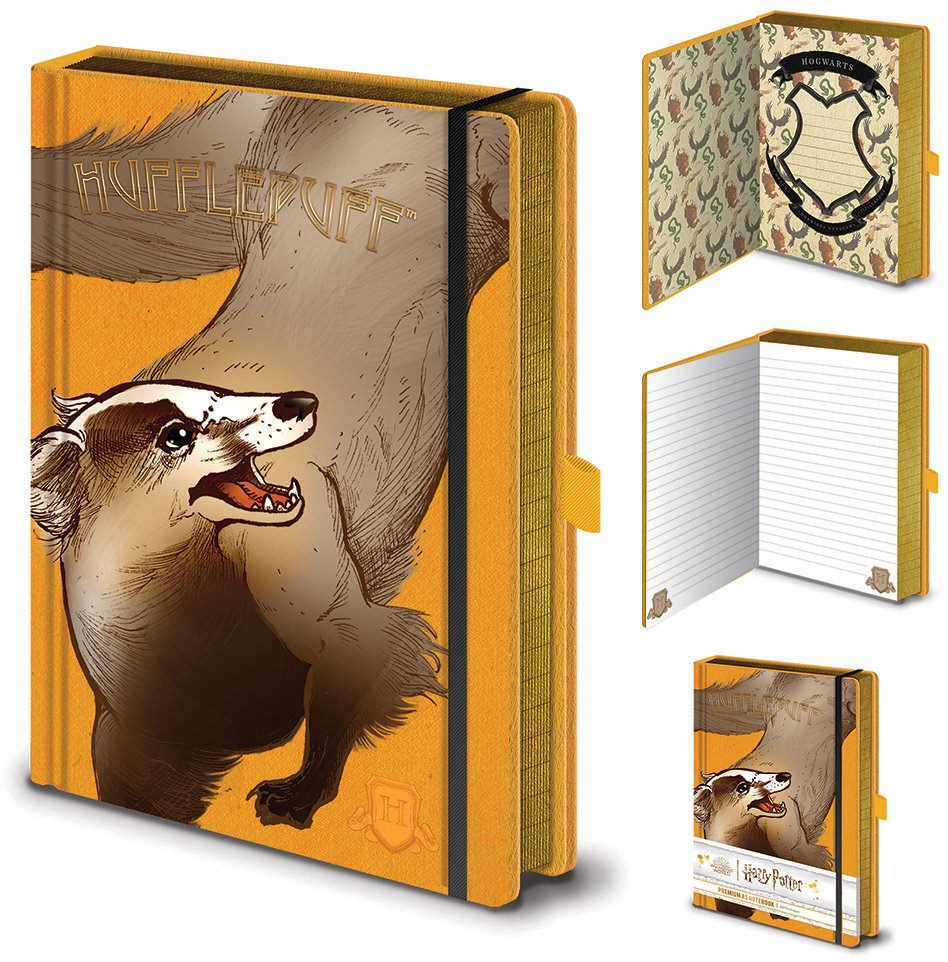 EPEE Blok A5 premium, Harry Potter – Mrzimor motív