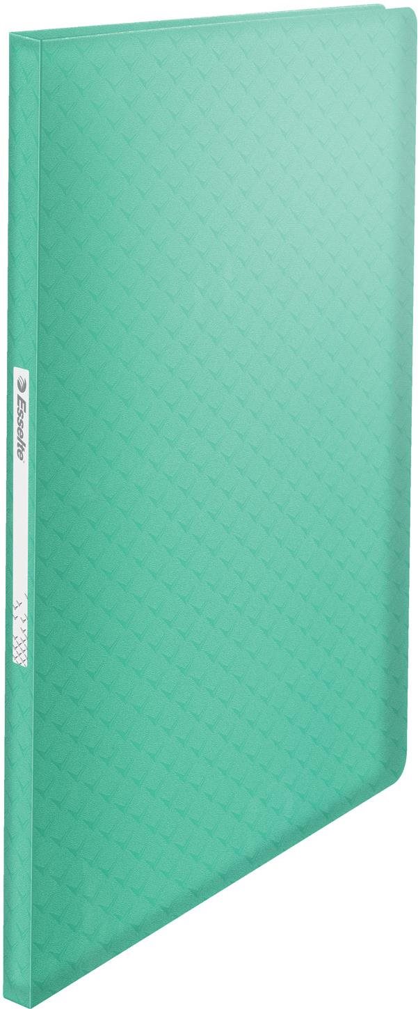 ESSELTE Colour Breeze A4, 60 vreciek, transparentné zelené