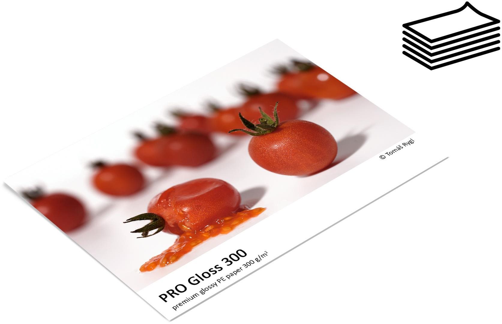 FOMEI PRO Gloss 300 A2 (42 x 59.4cm)/20
