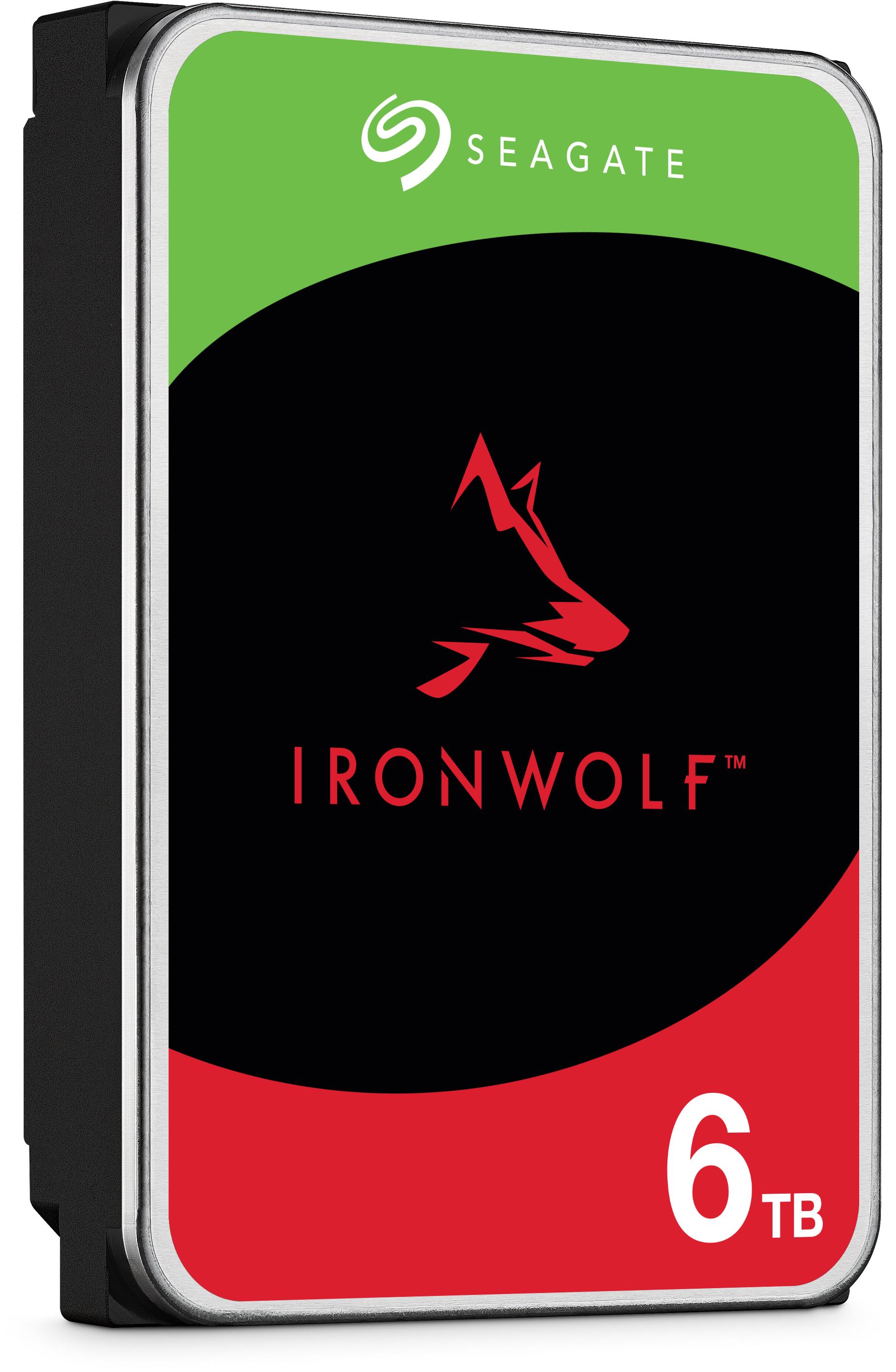 Seagate IronWolf 6 TB