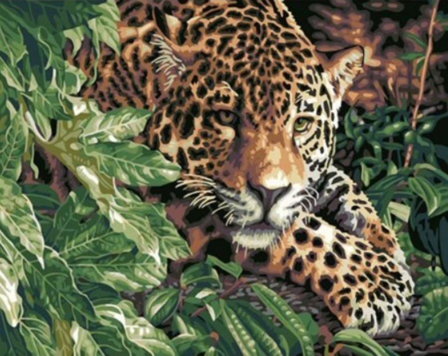 Gaira Leopard M99217
