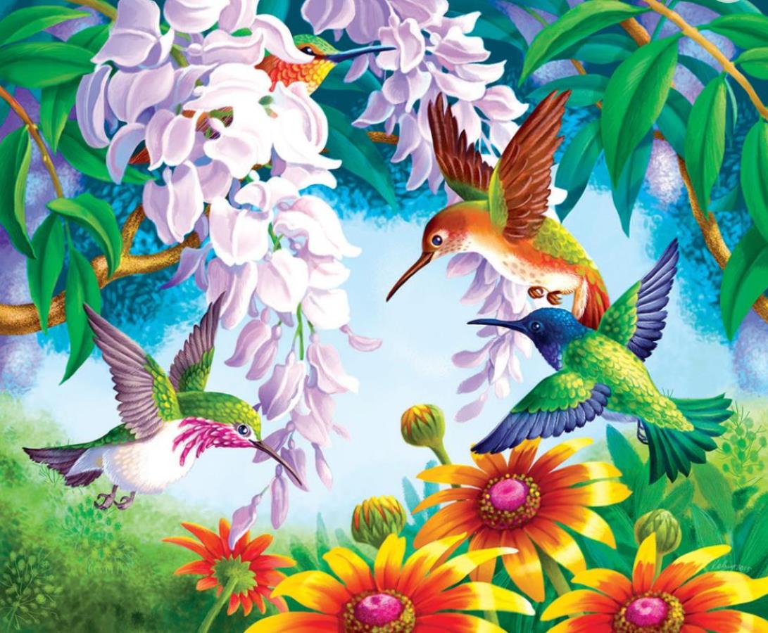 Gaira Kolibríky M992118