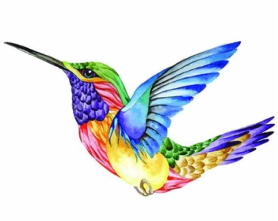 Gaira Kolibrík M992562