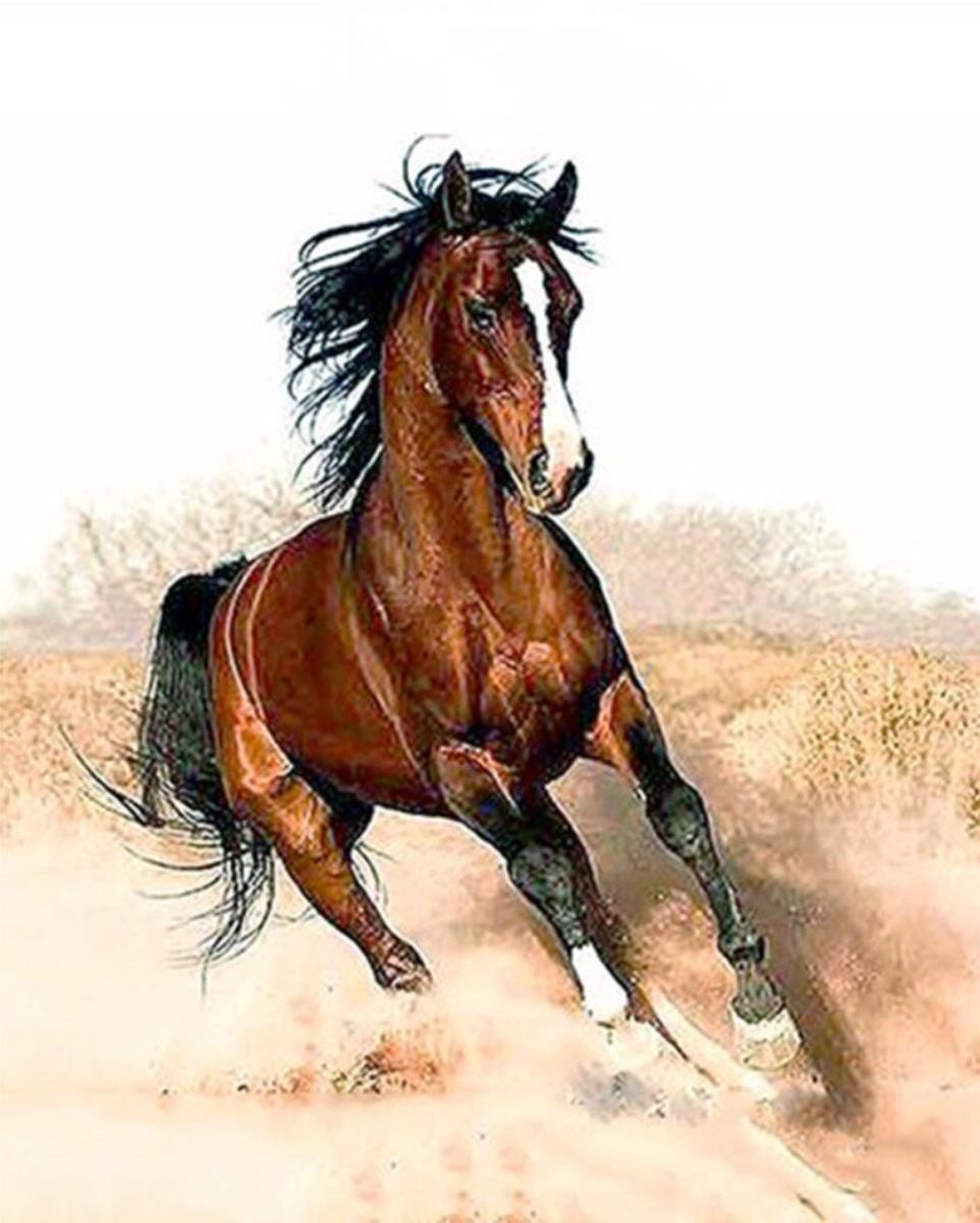 Gaira Cválajúci kôň M1182