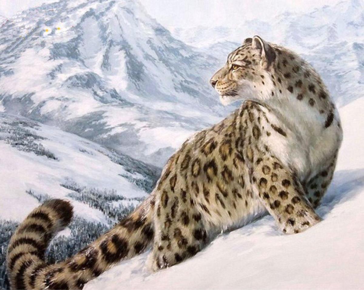 Gaira Snežný leopard M1061