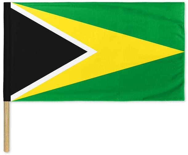 Bohemia Interactive Arma/DayZ Republic Of Altis and Stratis Flag 120 × 65 cm