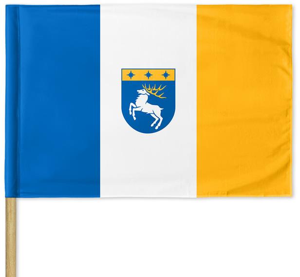 Arma/DayZ Livonia Flag 120 × 80 cm