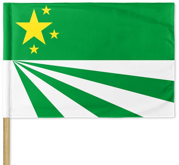Arma/DayZ Republic Of Chernarus Flag 120 × 80 cm