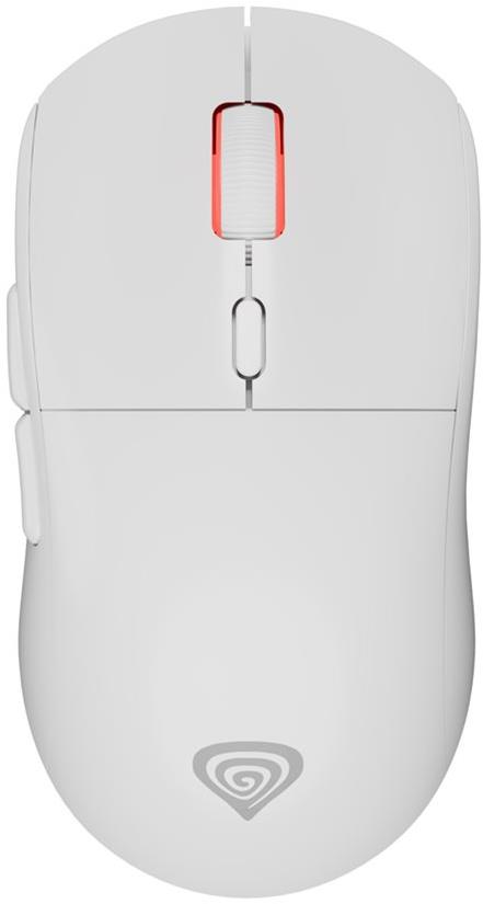 Genesis ZIRCON XIII, biela
