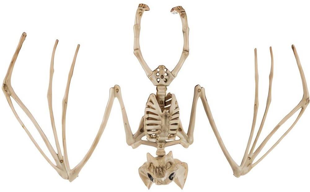 Malatec 22005 Kostra netopiera Halloween 30 cm