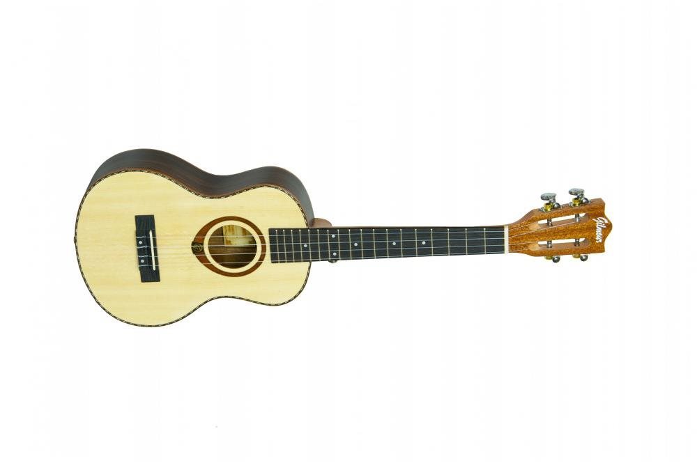 Gilmour Concert Classic