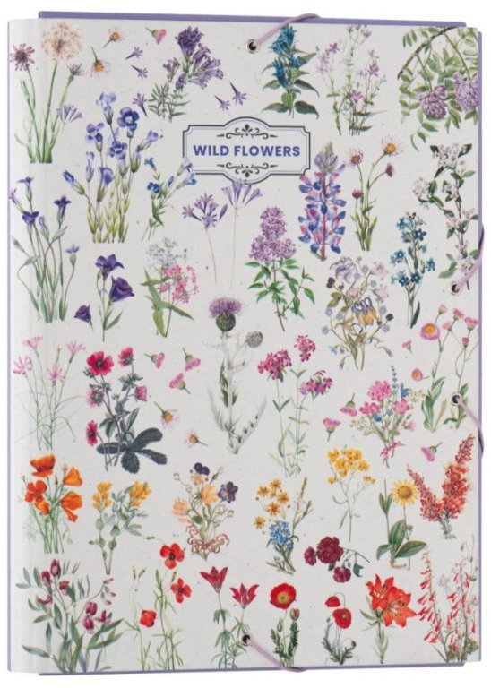 GRUPO ERIK Wild Flowers: Types Of Flowers, zložka