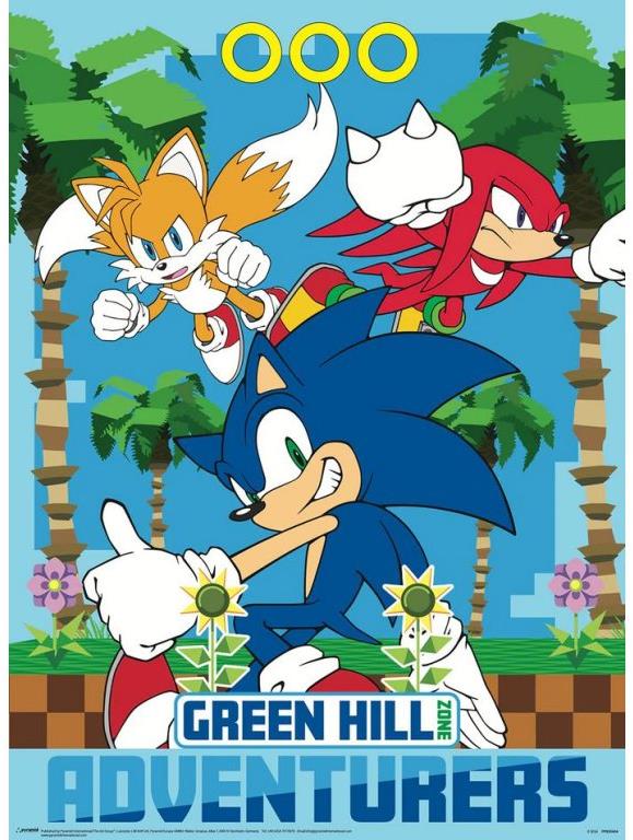 Sonic The Hedgehog: Sonic & Team 38 × 52 cm