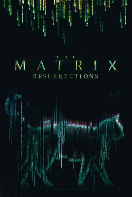 The Matrix: Cat – plagát