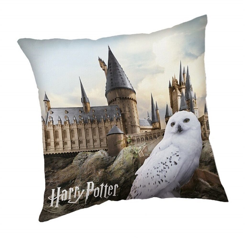 Harry Potter: Hedwig 02 – vankúšik 40 × 40 cm