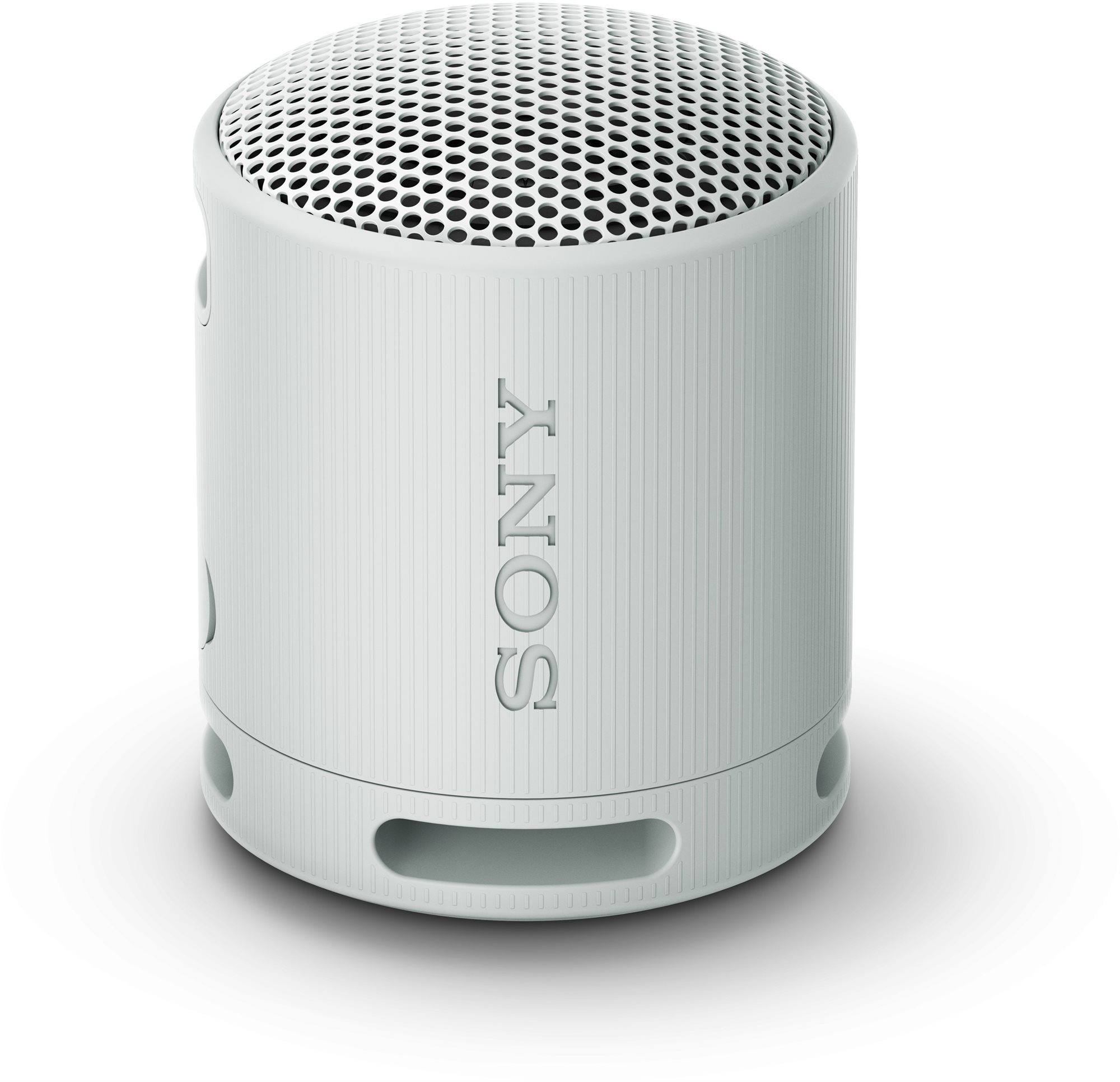 Sony SRS-XB100 sivý