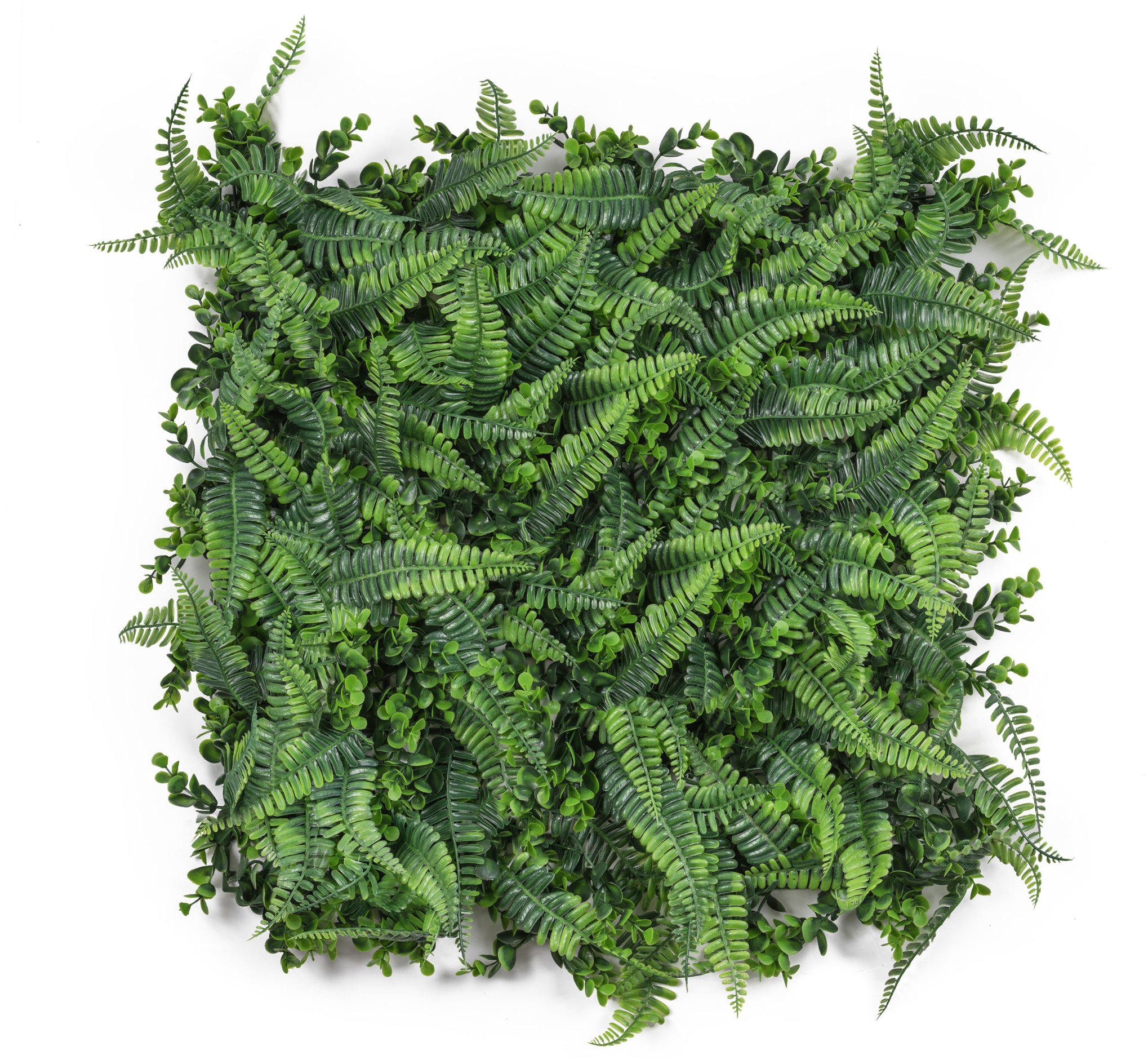 G21 Listo Ferns Umelá zelená stena, 50 × 50 cm