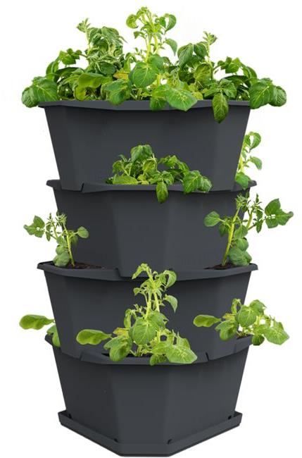 Gusta Garden PAUL POTATO samozavlažovací kvetináč 4-vrstvový, antracit