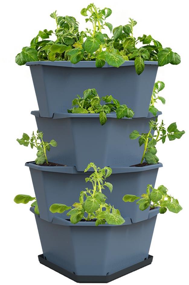 Gusta Garden PAUL POTATO samozavlažovací kvetináč 4-vrstvový, modrý