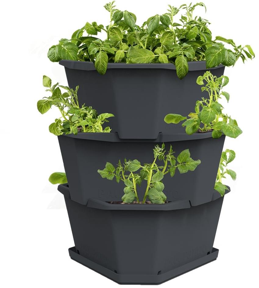 Gusta Garden PAUL POTATO samozavlažovací kvetináč 3-vrstvový, antracit