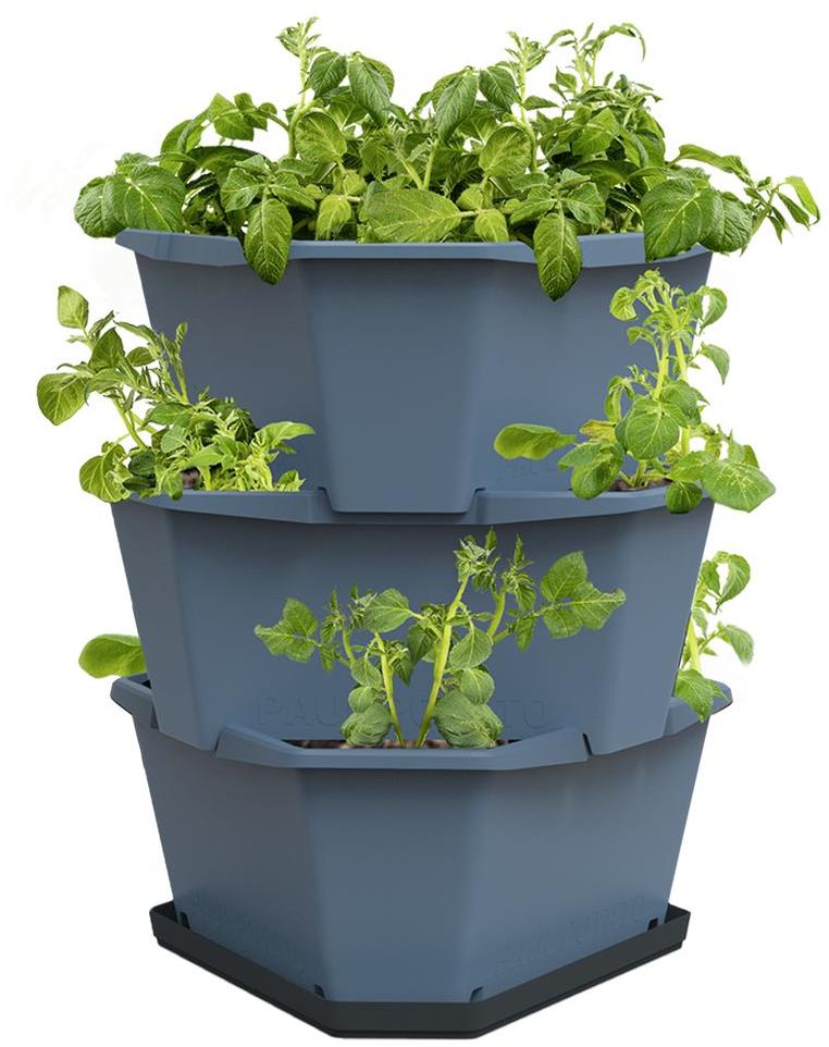 Gusta Garden PAUL POTATO samozavlažovací kvetináč 3-vrstvový, modrý