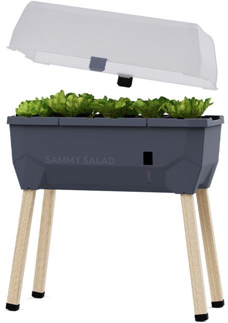 Gusta Garden SAMMY SALAD samozavlažovací kvetináč s vekom, antracit