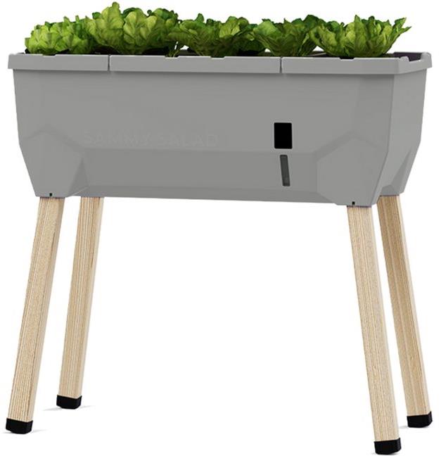 Gusta Garden SAMMY SALAD samozavlažovací kvetináč bez veka, svetlo sivá