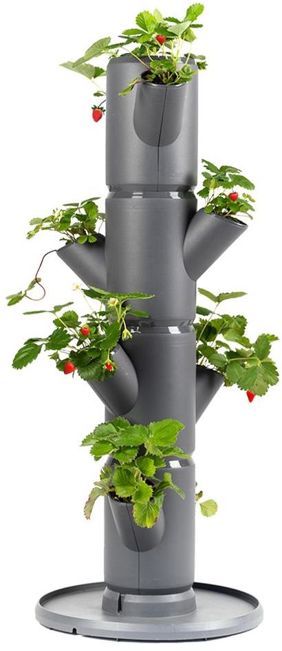 Gusta Garden SISSI STRAWBERRY starter samozavlažovací kvetináč 4 poschodia, antracit