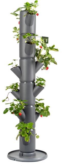 Gusta Garden SISSI STRAWBERRY classic samozavlažovací kvetináč 6 poschodí, antracit
