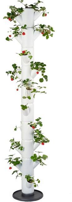 Gusta Garden SISSI STRAWBERRY Infinity samozavlažovací kvetináč 10 poschodí, biely