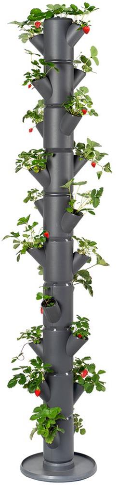 Gusta Garden SISSI STRAWBERRY Infinity samozavlažovací kvetináč 10 poschodí, antracit