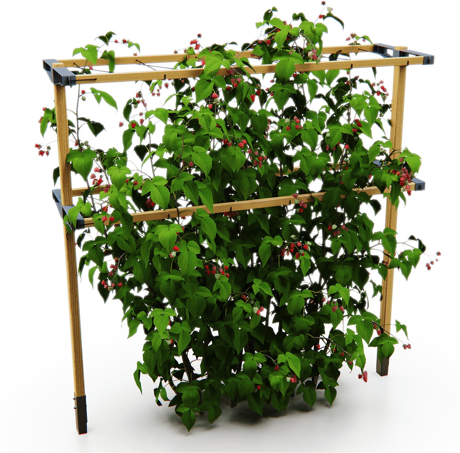 Gusta Garden BERRY BUDDY podporná mreža 120 cm