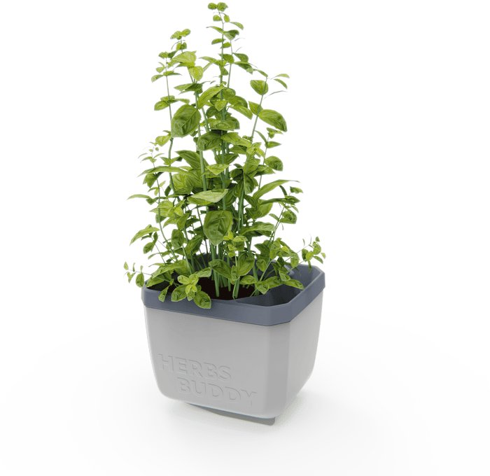 Gusta Garden HERBS BUDDY samozavlažovací, svetlo sivý