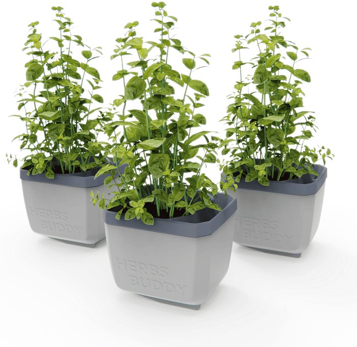 Gusta Garden HERBS BUDDY samozavlažovací, svetlo sivý, 3 ks