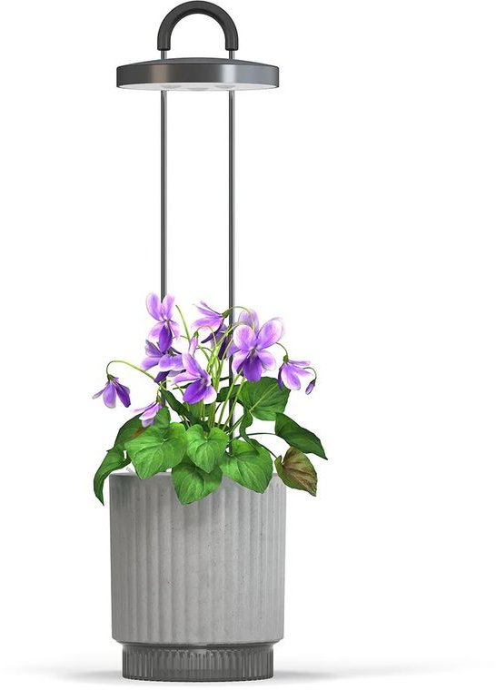 Click and Grow Smart Garden 1 HydroVase, sivý