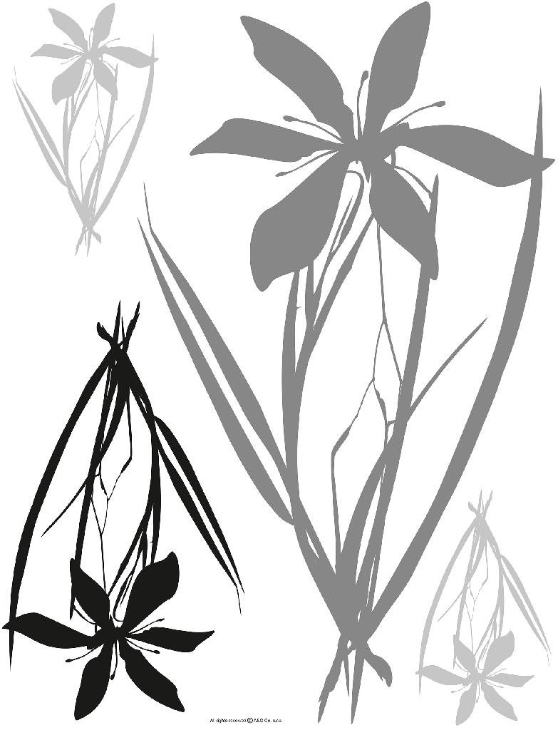 F0443 Samolepiaca dekorácia FLORA BLACK GREY 65 × 85 cm