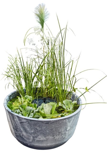 HEISSNER Aquatopia Solárne mini jazierko 46 × 21 cm, kamenný dekor