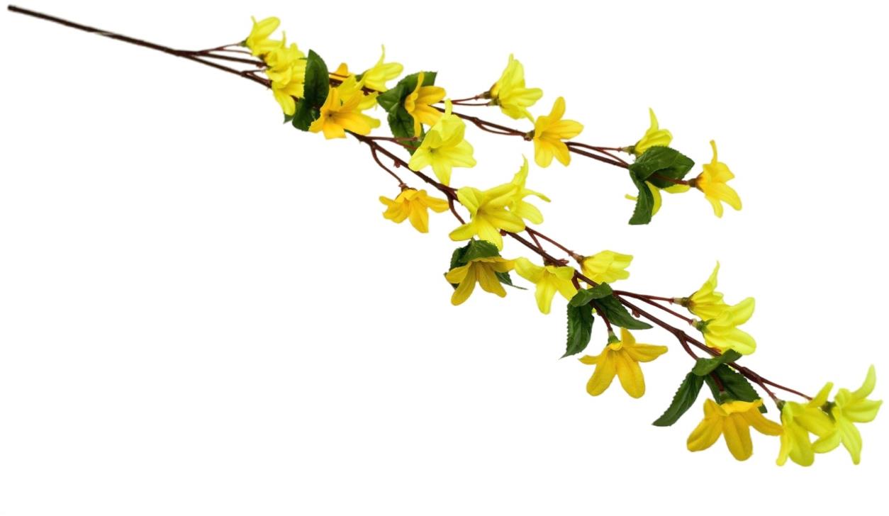 DOMMIO Forsythia zlatý dážď 70 cm