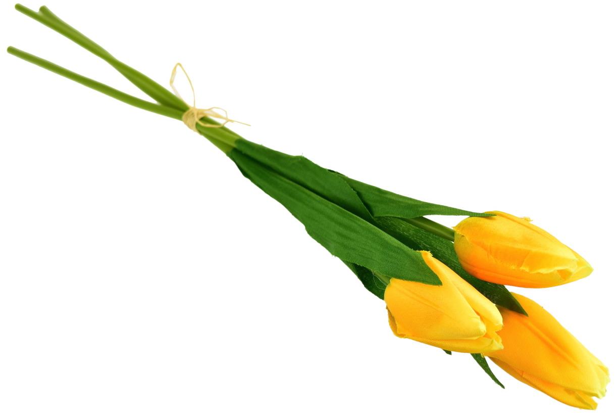 BerryHome Zväzok 3 ks tulipánov, žlté, 50 cm