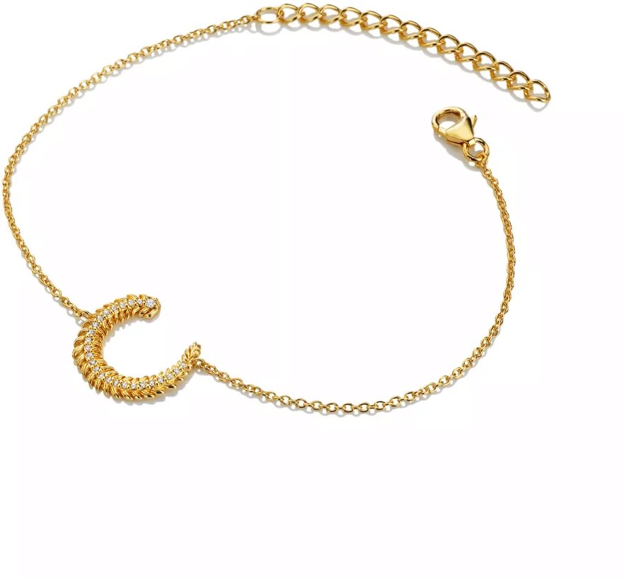 HOT DIAMONDS X GOLDEN EDIT Selene DL713 (Ag 925/1000; 2 g)