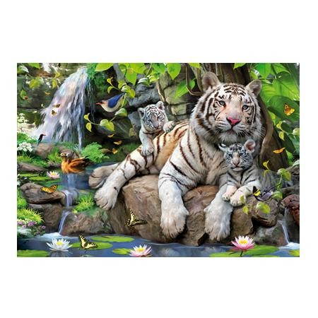 Biely bengálsky tiger, 1 000 dielilkov